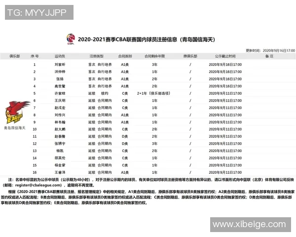 明星球员表现分析：詹姆斯本赛季高光时刻