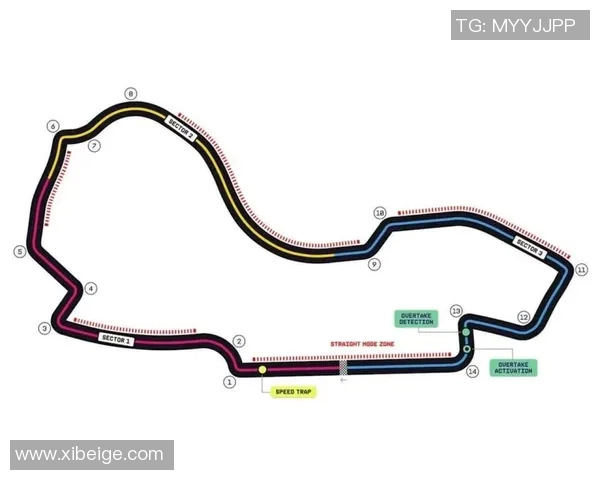 F1赛季车队战略调整与赛道适应性深度分析及影响评估